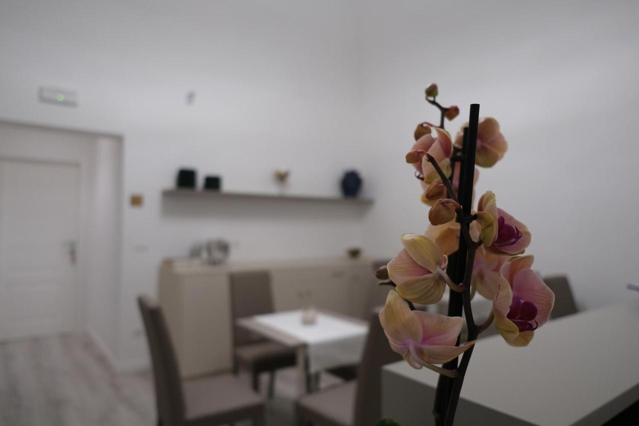 Heart City Rooms Katania Zewnętrze zdjęcie